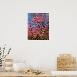 Hübsch rosa Azaleen Poster