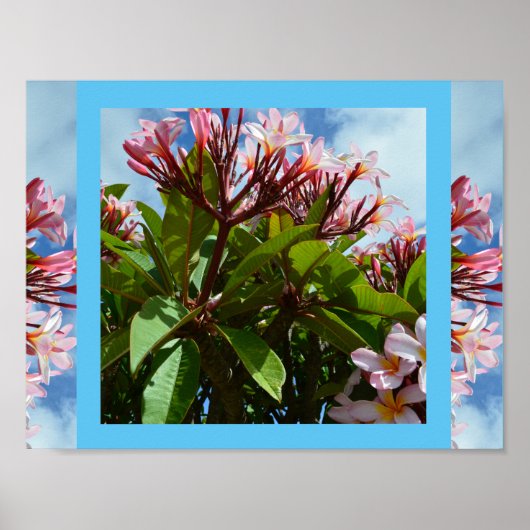 Hübsch rosa blühender Frangipani-Baum, Poster (Vorne)