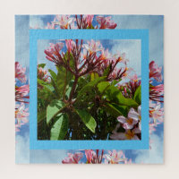 Hübsch rosa blühender Frangipani-Baum,