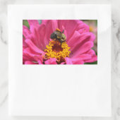 Hübsch rosa Blütenpinke Zinnia Hummel Rechteckiger Aufkleber (Tasche)