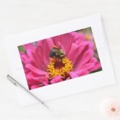 Hübsch rosa Blütenpinke Zinnia Hummel Rechteckiger Aufkleber (Umschlag)