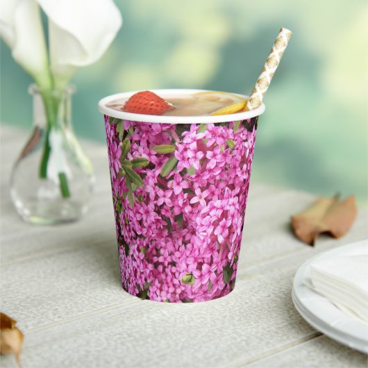Hübsch rosa Daphne Pappbecher (In Situ)