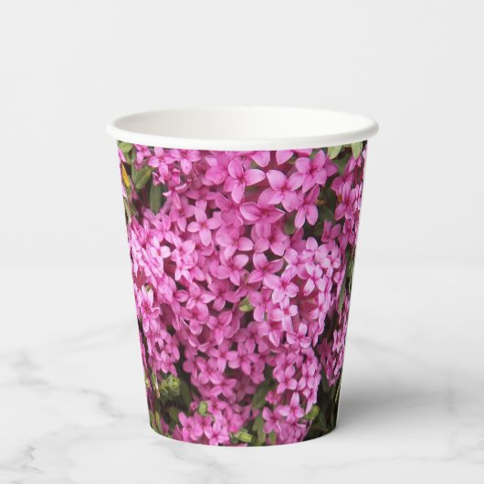 Hübsch rosa Daphne Pappbecher (Rückseite)