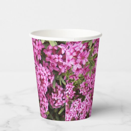 Hübsch rosa Daphne Pappbecher (Rechts)
