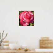Hübsch rosa Herbstposter Rose Poster (Küche)