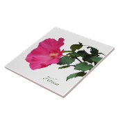 Hübsch rosa Hibiskus auf weiß Fliese (Seite)