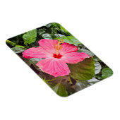 Hübsch rosa Hibiskus Magnet (Rechte Seite)
