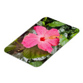 Hübsch rosa Hibiskus Magnet (Linke Seite)