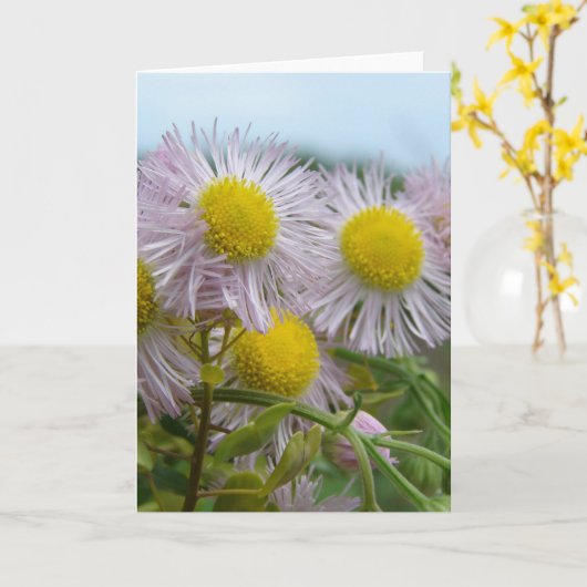 Hübsch rosa karte (Gelbe Blume)