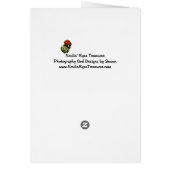 Hübsch rosa Kosmos Blume Design Foto (Hinten)