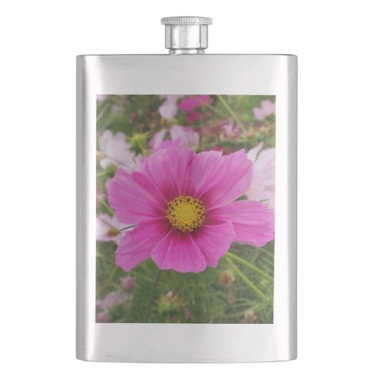 Hübsch-Rosa-Kosmos-Blume Flachmann (Vorderseite)