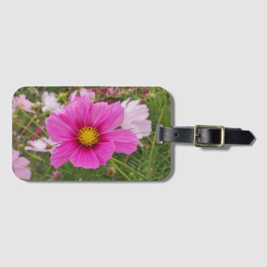 Hübsch-Rosa-Kosmos-Blume Gepäckanhänger (Vorderseite (Horizontal))