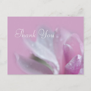 hübsch rosa magnolia Blume danke Postcard. Postkarte