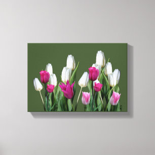 Hübsch rosa, moderne, farbenfrohe Tulpe Leinwanddruck