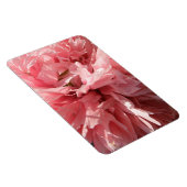Hübsch rosa Mohnblüte Magnet (Rechte Seite)