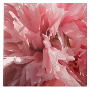 Hübsch rosa Mohndecke Fliese