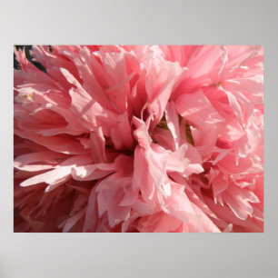 Hübsch rosa Mohndruck Poster