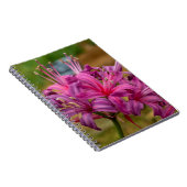 Hübsch rosa Nerine Blume Spiralnotebook Notizblock (Rechte Seite)