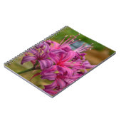 Hübsch rosa Nerine Blume Spiralnotebook Notizblock (Linke Seite)