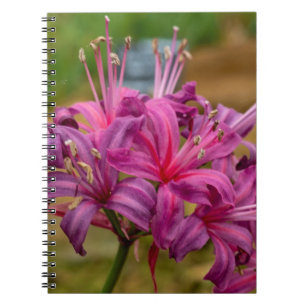 Hübsch rosa Nerine Blume Spiralnotebook Notizblock