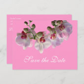hübsch-rosa Orchideen-Blume Save the Date rosa Ankündigungspostkarte (Vorne/Hinten)