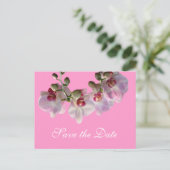 hübsch-rosa Orchideen-Blume Save the Date rosa Ankündigungspostkarte (Stehend Vorderseite)