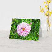 Hübsch rosa Peonie-Blankarte Karte (Gelbe Blume)