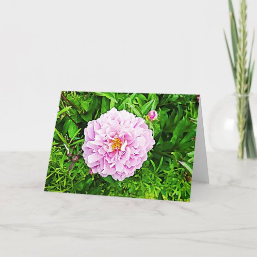 Hübsch rosa Peonie-Blankarte Karte (Vorderseite)