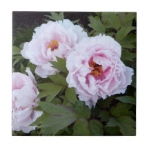 Hübsch-Rosa-Peony-Dekorationsteile