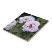 Hübsch-Rosa-Peony-Dekorationsteile Fliese (Seite)