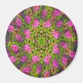 Hübsch rosa Phlox wirl... Magnet (Vorne)