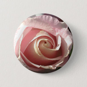 Hübsch rosa Rosa Button