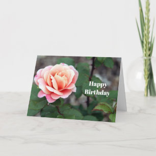 Hübsch Rosa Rosa Foto Rose Geburtstag Karte