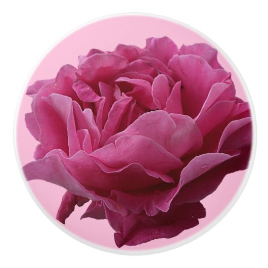 Hübsch rosa Rosa Keramik schön floral stilvoll Keramikknauf (Vorderseite)