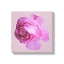 Hübsch rosa Rosa Moderne Blütenkunst