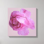 Hübsch rosa Rosa Moderne Blütenkunst Leinwanddruck (Vorderseite)