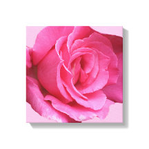 Hübsch rosa rosa, moderne mimalistische Blütenkuns