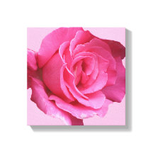 Hübsch rosa rosa, moderne mimalistische Blütenkuns