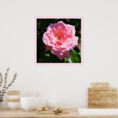 Hübsch rosa Rosa Poster (Küche)