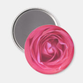 Hübsch Rosa Rose Magnet (Vorderseite/Rückseite)