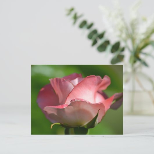 Hübsch Rosa Rose Postkarte (Stehend Vorderseite)