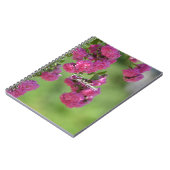 Hübsch rosa Rosen Notizblock (Linke Seite)