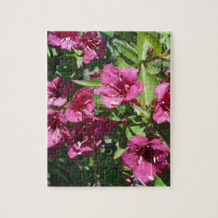 Hübsch rosa Sommer-Blume Foto Puzzle