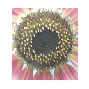 Hübsch rosa Sonnenblumen Notepad Notizblock