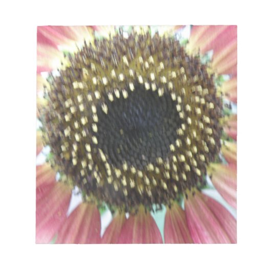 Hübsch rosa Sonnenblumen Notepad Notizblock (Vorderseite)