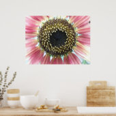 Hübsch rosa Sonnenblumendrucke Poster (Küche)