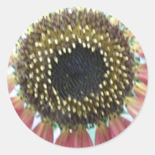 Hübsch rosa Sonnenblumenkleber Runder Aufkleber