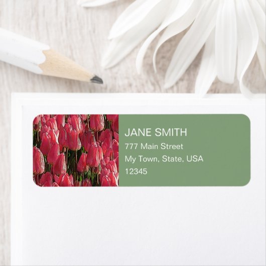 Hübsch-rosa Tulips (Insitu)