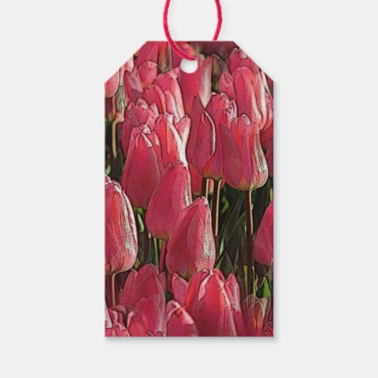 Hübsch-rosa Tulips Geschenkanhänger (Vorderseite)