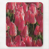 Hübsch-rosa Tulips Mousepad (Vorne)